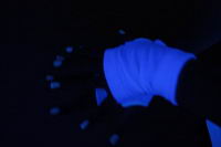 bild_10