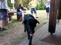 bild_05
